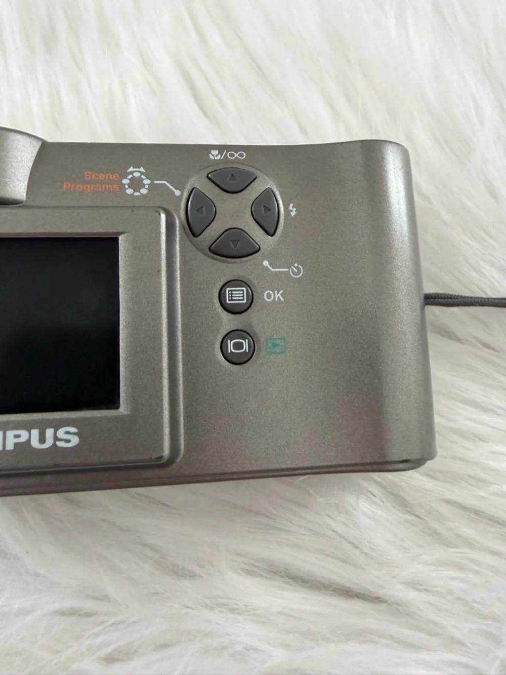 Olympus D-550 Zoom Silver Compact Digital Camera